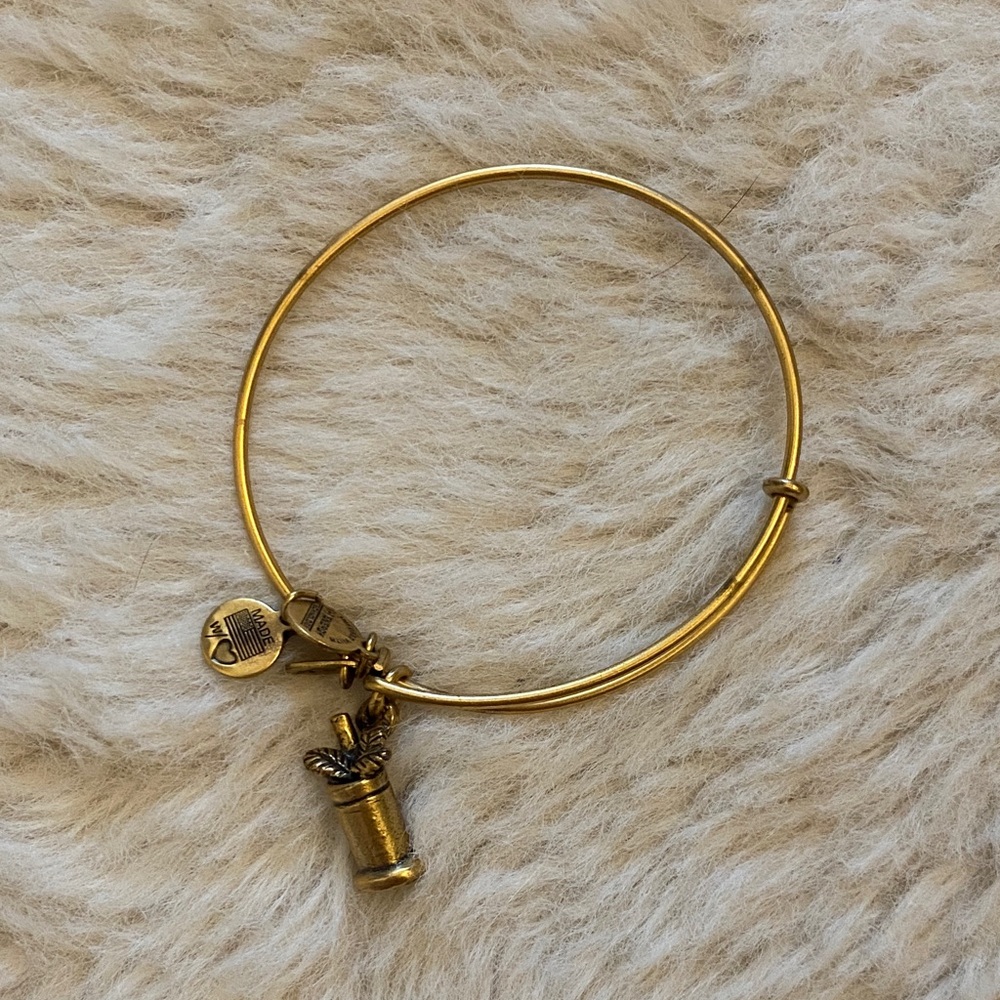 Alex & Ani Mint Julep Bracelet